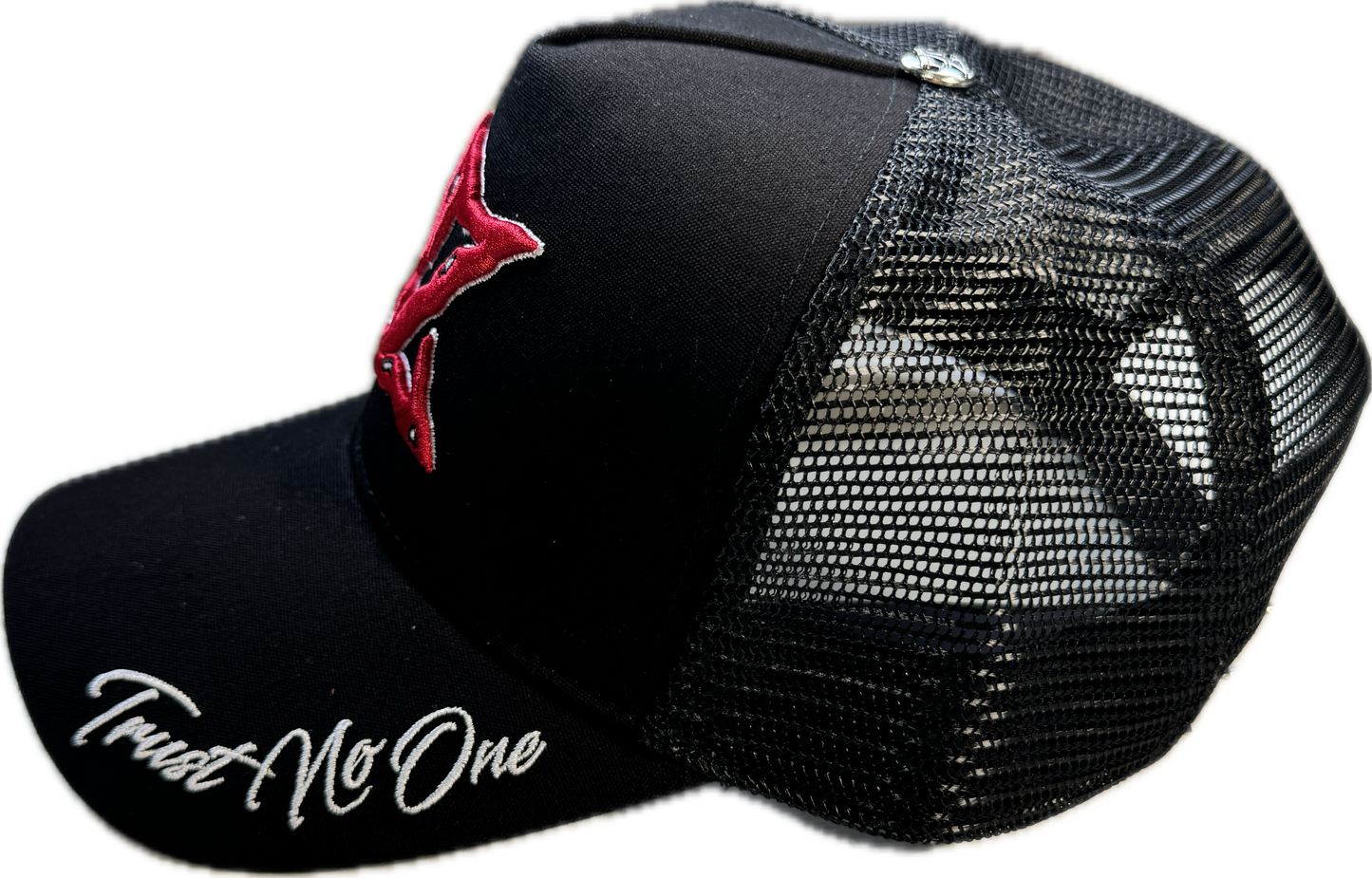 𝓣𝓻𝓾𝓼𝓽 𝓝𝓸 𝓞𝓷𝓮 SAPCA