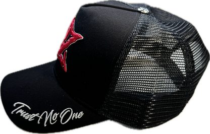 𝓣𝓻𝓾𝓼𝓽 𝓝𝓸 𝓞𝓷𝓮 SAPCA