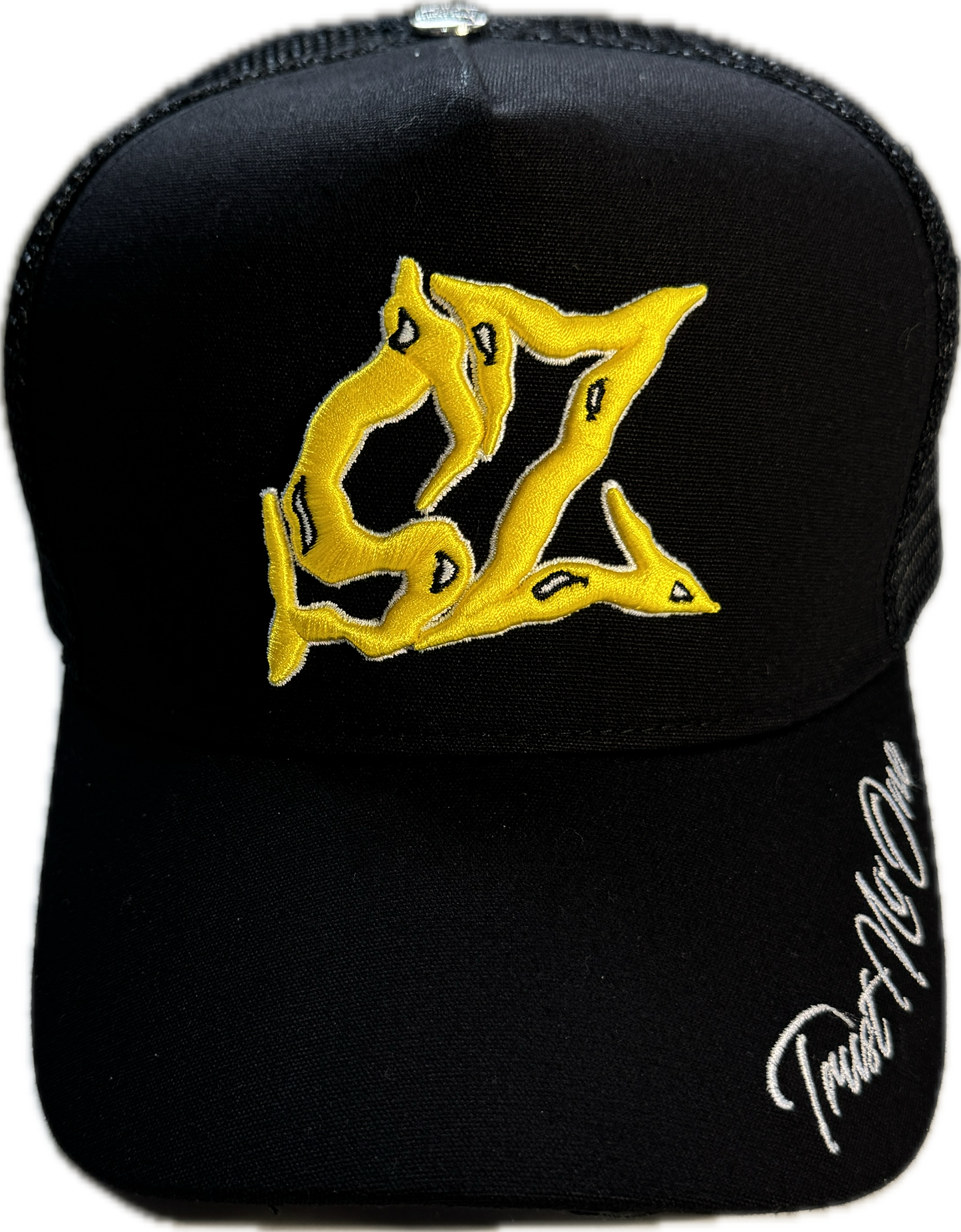 𝓣𝓻𝓾𝓼𝓽 𝓝𝓸 𝓞𝓷𝓮 SAPCA