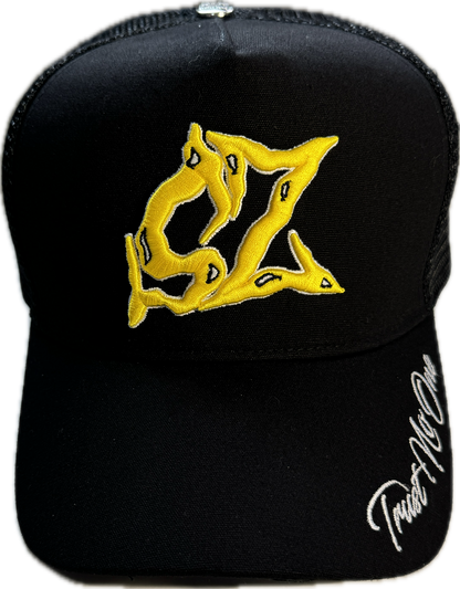 𝓣𝓻𝓾𝓼𝓽 𝓝𝓸 𝓞𝓷𝓮 SAPCA