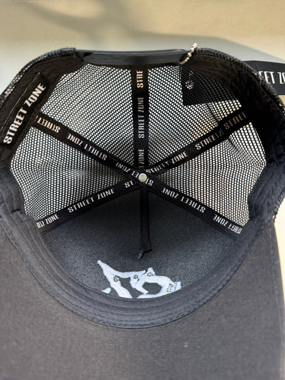 𝓣𝓻𝓾𝓼𝓽 𝓝𝓸 𝓞𝓷𝓮 SAPCA