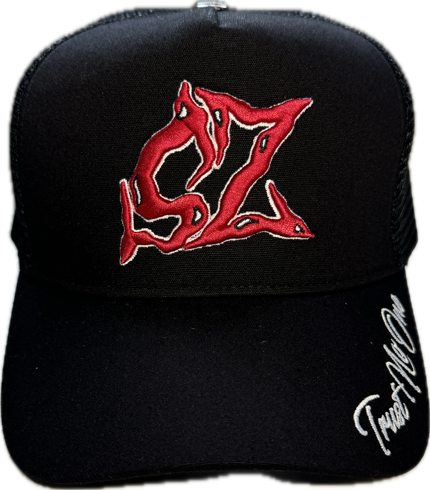 𝓣𝓻𝓾𝓼𝓽 𝓝𝓸 𝓞𝓷𝓮 SAPCA