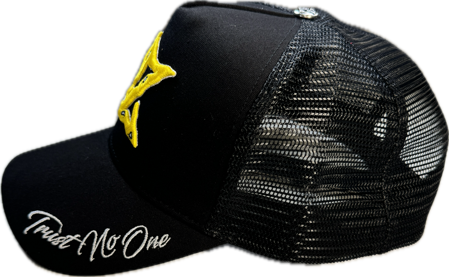 𝓣𝓻𝓾𝓼𝓽 𝓝𝓸 𝓞𝓷𝓮 SAPCA