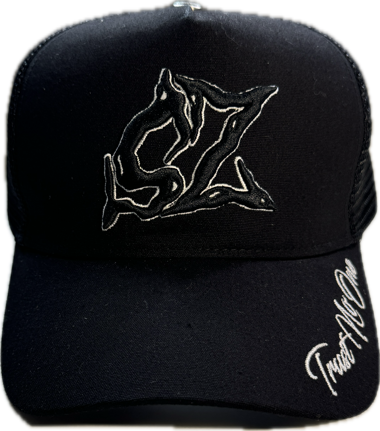 𝓣𝓻𝓾𝓼𝓽 𝓝𝓸 𝓞𝓷𝓮 SAPCA