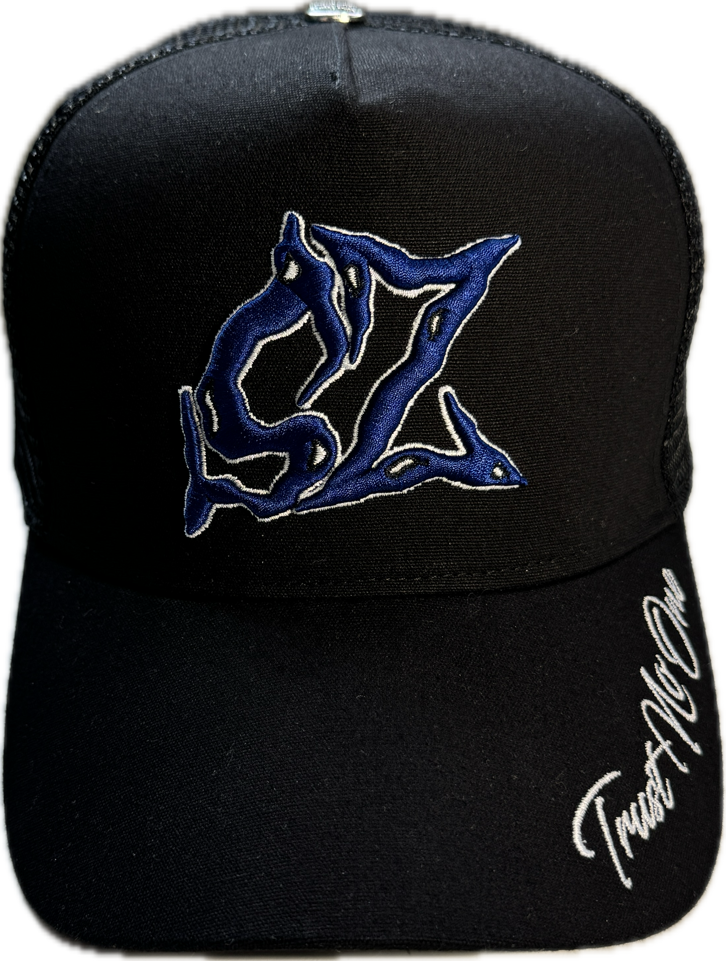 𝓣𝓻𝓾𝓼𝓽 𝓝𝓸 𝓞𝓷𝓮 SAPCA