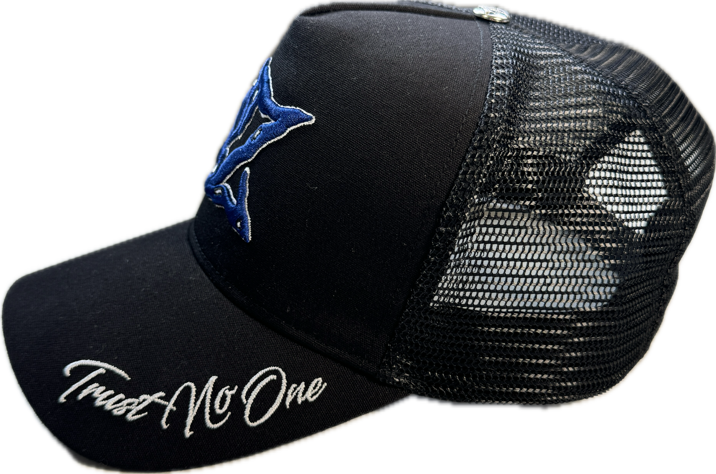 𝓣𝓻𝓾𝓼𝓽 𝓝𝓸 𝓞𝓷𝓮 SAPCA