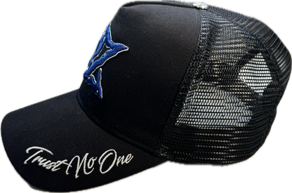 𝓣𝓻𝓾𝓼𝓽 𝓝𝓸 𝓞𝓷𝓮 SAPCA