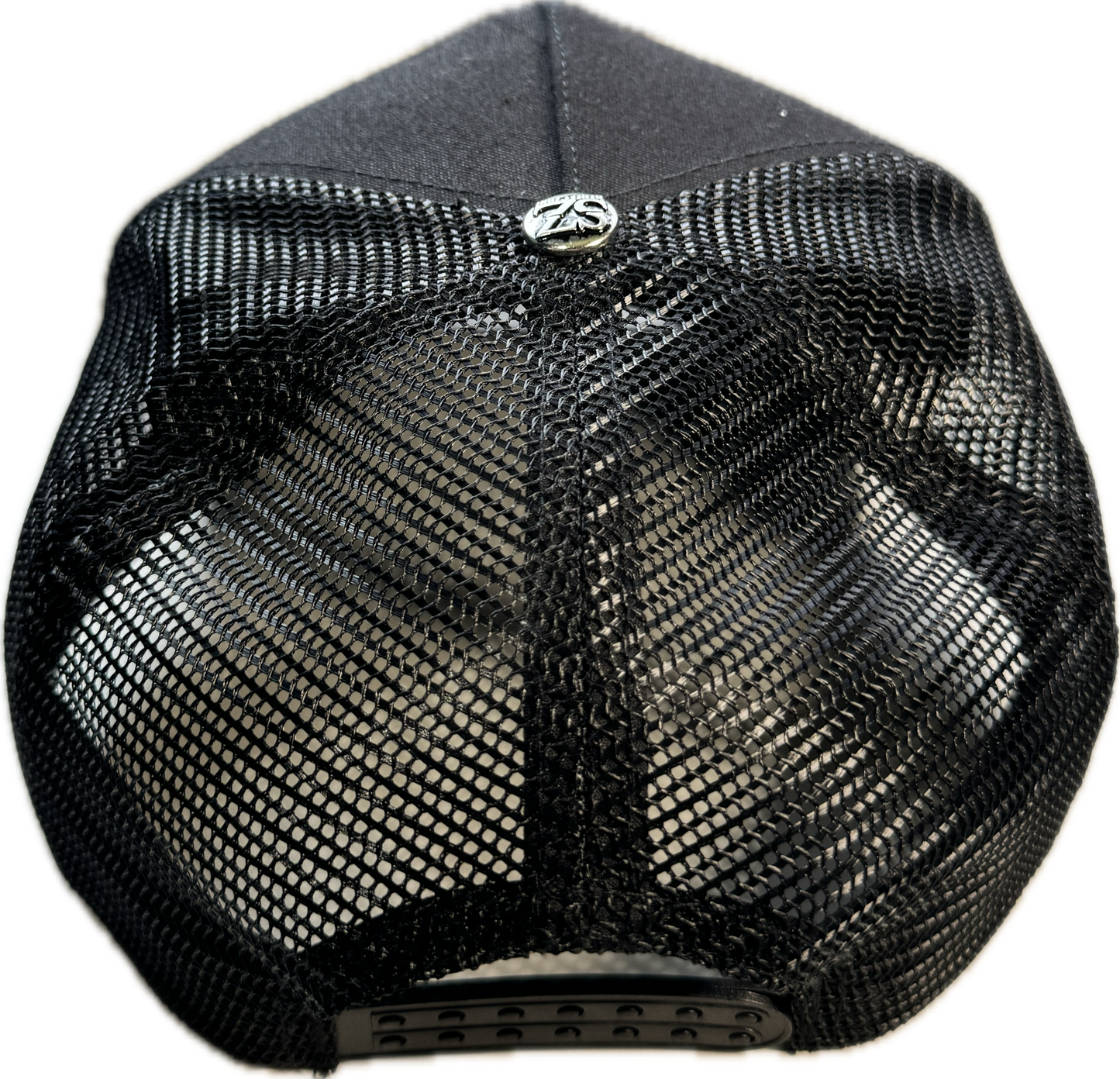 𝓣𝓻𝓾𝓼𝓽 𝓝𝓸 𝓞𝓷𝓮 SAPCA