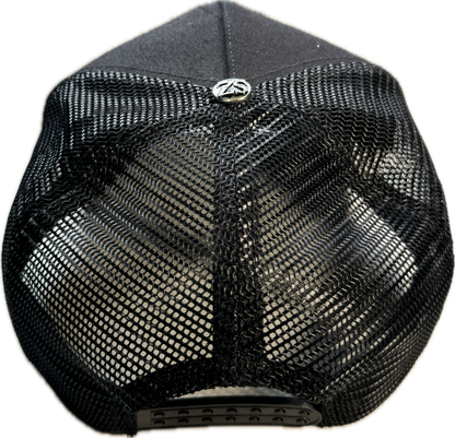 𝓣𝓻𝓾𝓼𝓽 𝓝𝓸 𝓞𝓷𝓮 SAPCA